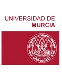 Grado en ADE y Grado en Derecho (Universidad de Murcia)
