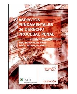 Aspectos fundamentales de Derecho Procesal Penal. 3º edición