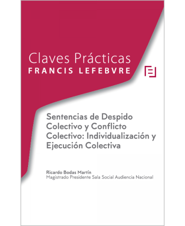 Sentencias de Despido Colectivo y Conflicto Colectivo: Individualización y Ejecución Colectiva