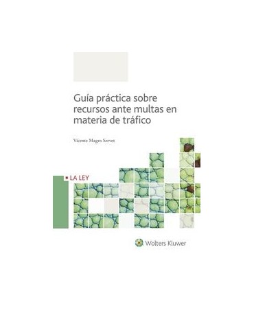 Guía práctica sobre recursos ante multas en materia de tráfico