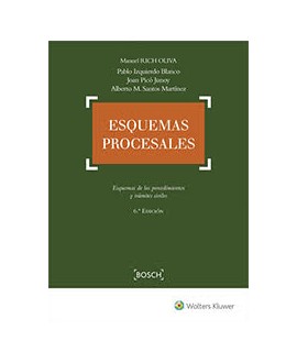 Esquemas procesales. 6ª Edición