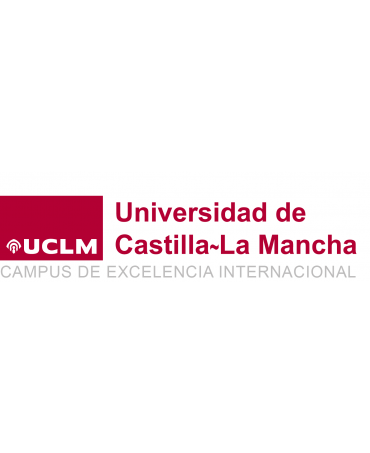 Máster en Derecho Constitucional (Toledo)