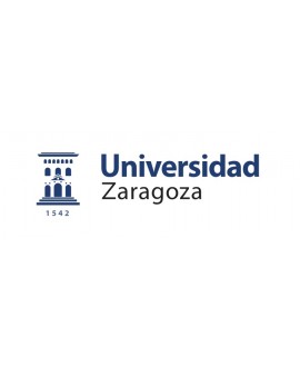 Master Universitario en abogacía y práctica jurídica Universidad Zaragoza