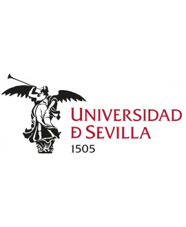 Máster Universitario en Derecho Constitucional (Universidad Sevilla)
