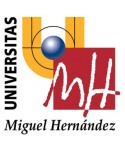 Grado en Derecho (Universidad Miguel Hernandez)