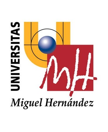Doble Grado en Derecho y Administración y Dirección de Empresas (Universidad Miguel Hernandez)