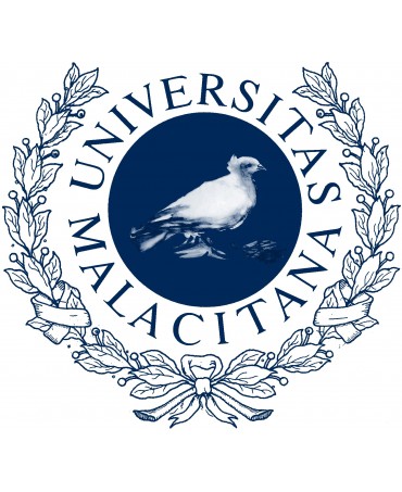 Título experto universitario en derecho procesal civil