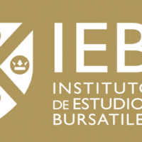 IEBlogo