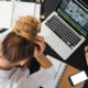 oposiciones derecho