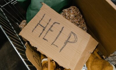 Consejo General del Poder judicial. CGPJ