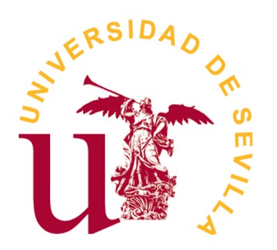 Máster Universitario en Derecho Constitucional (Universidad de Sevilla)